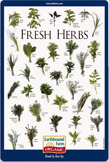Daily Cheapskate: Free downloadable Fresh Herbs chart from Earthbound