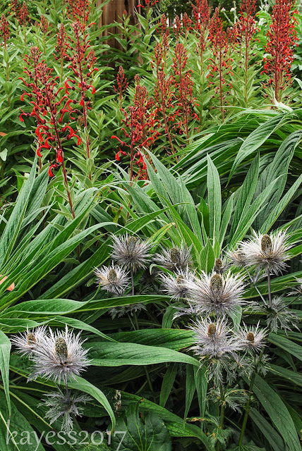 Throwback Thursday-Linda Cochrans' Garden
