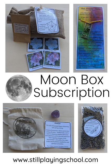 Moon Box Subscription