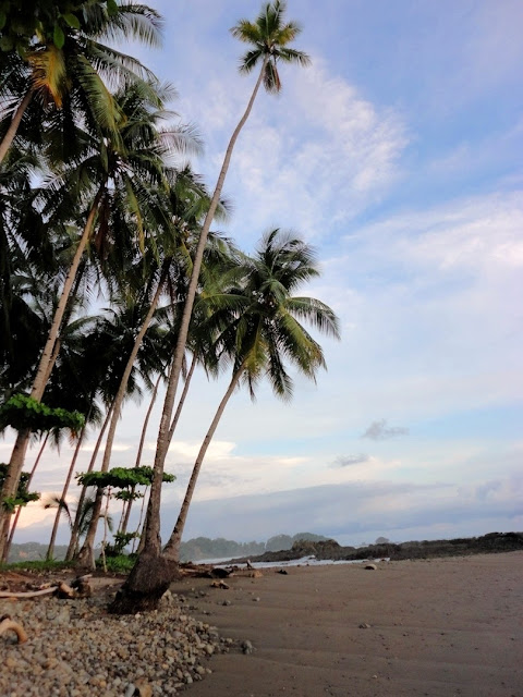 Cucodesafío2012: El Nuevo Mundo: DÍA 12: LA IGLESIA ALBINA Y EL