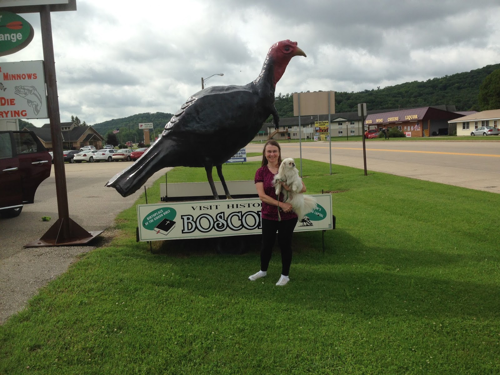 Blog Blog Blog My Week