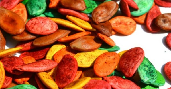 Pumpkin Seed Crafts