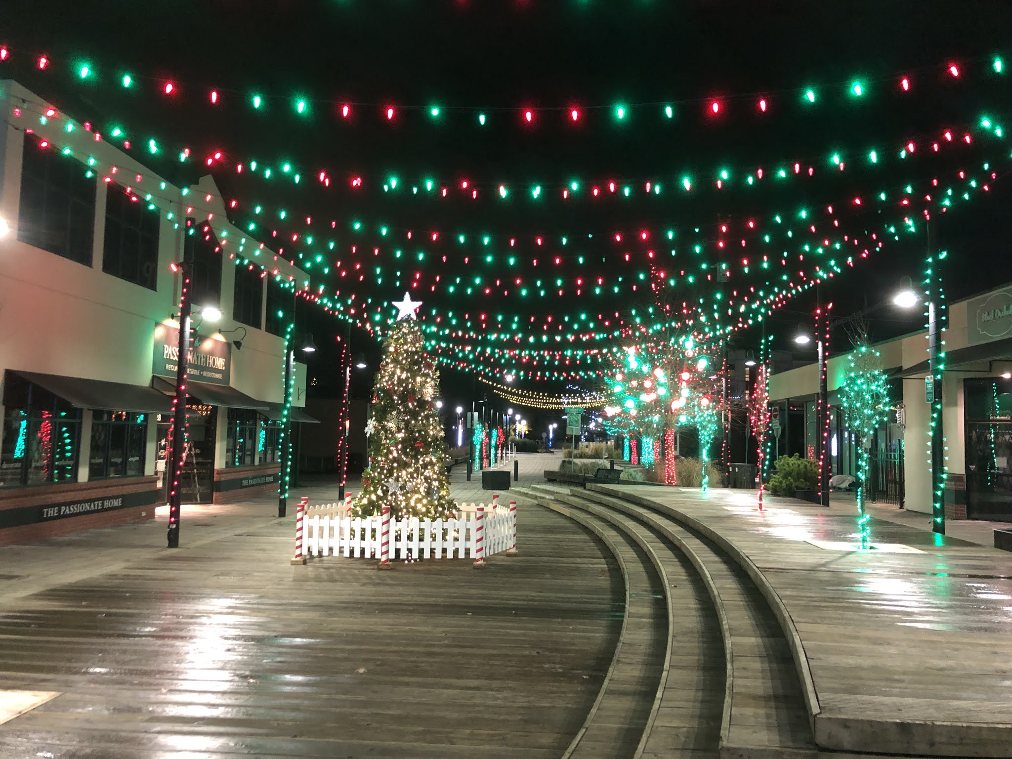 The South Fraser Blog Langley City’s Elves on the Shelf Ally, Timmy