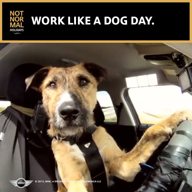Work Like a Dog Day Work Like a Dog Day
