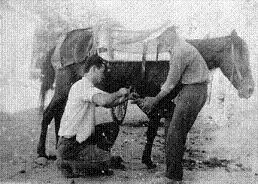 Περιζήτητα επαγγέλματα, τέχνες, ασχολίες που χάνονται - Ο πεταλωτής - ΚΑΛΑΒΡΥΤΑ - NEWS