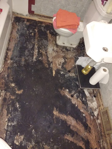 The Eco Cat Lady Speaks A Floor Too Far