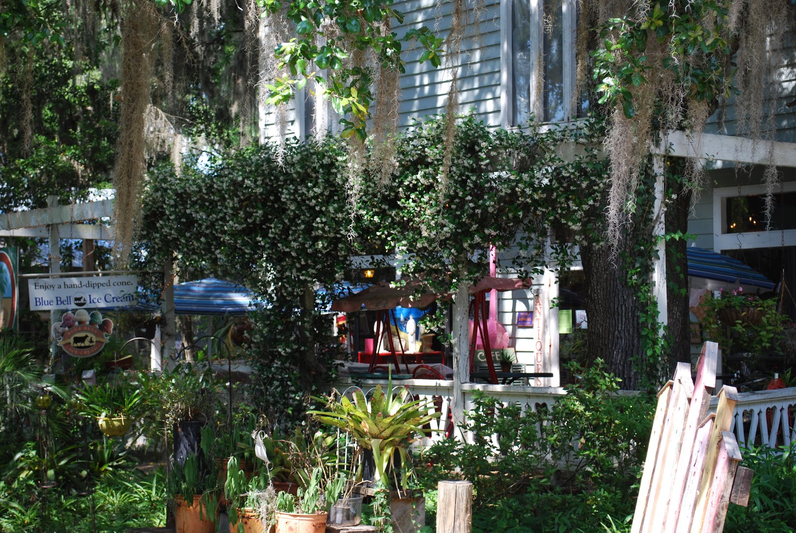 Heroes, Heroines, and History Tidbits About Micanopy