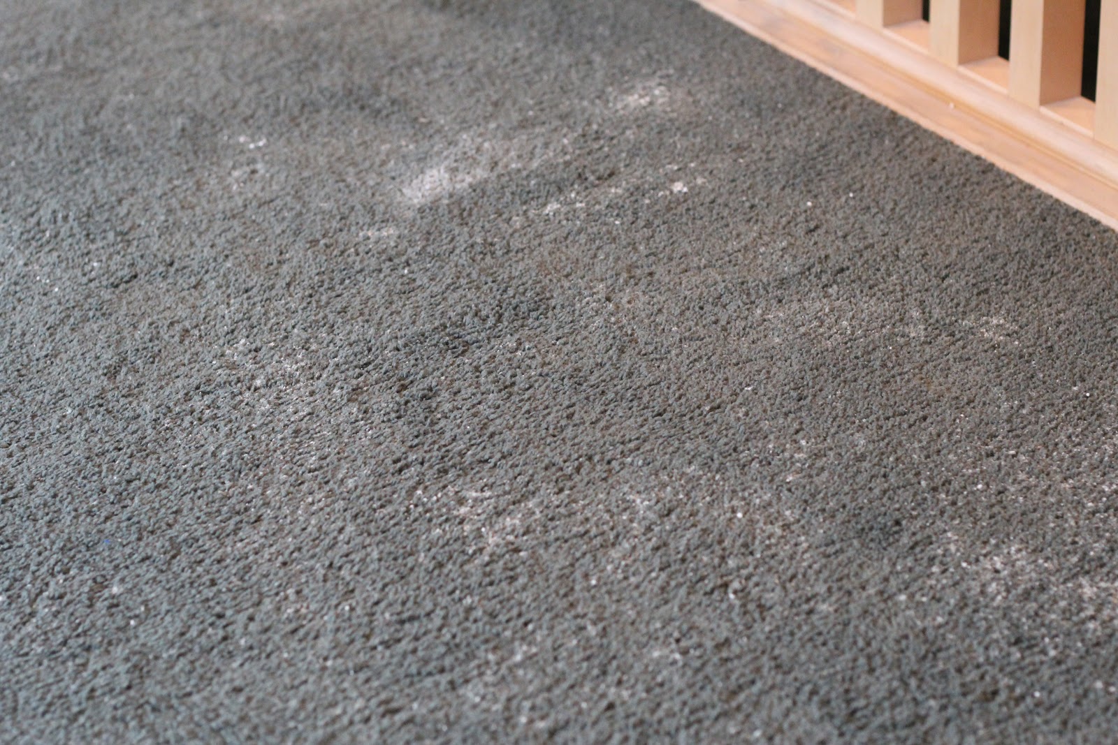do-it-yourself-divas-diy-deodorize-carpet