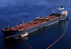 Exxon Valdez Oil Spill Disaster