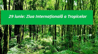 29 iunie: Ziua Internațională a Tropicelor