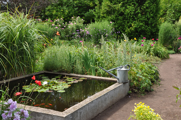 Best Backyard Water Features for Small Yards