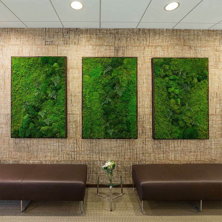 Artificial Grass Wall Designs - How To Make A Artificial Grass Wall Artificial Grass Wall Designs - How To Make A Artificial Grass Wall