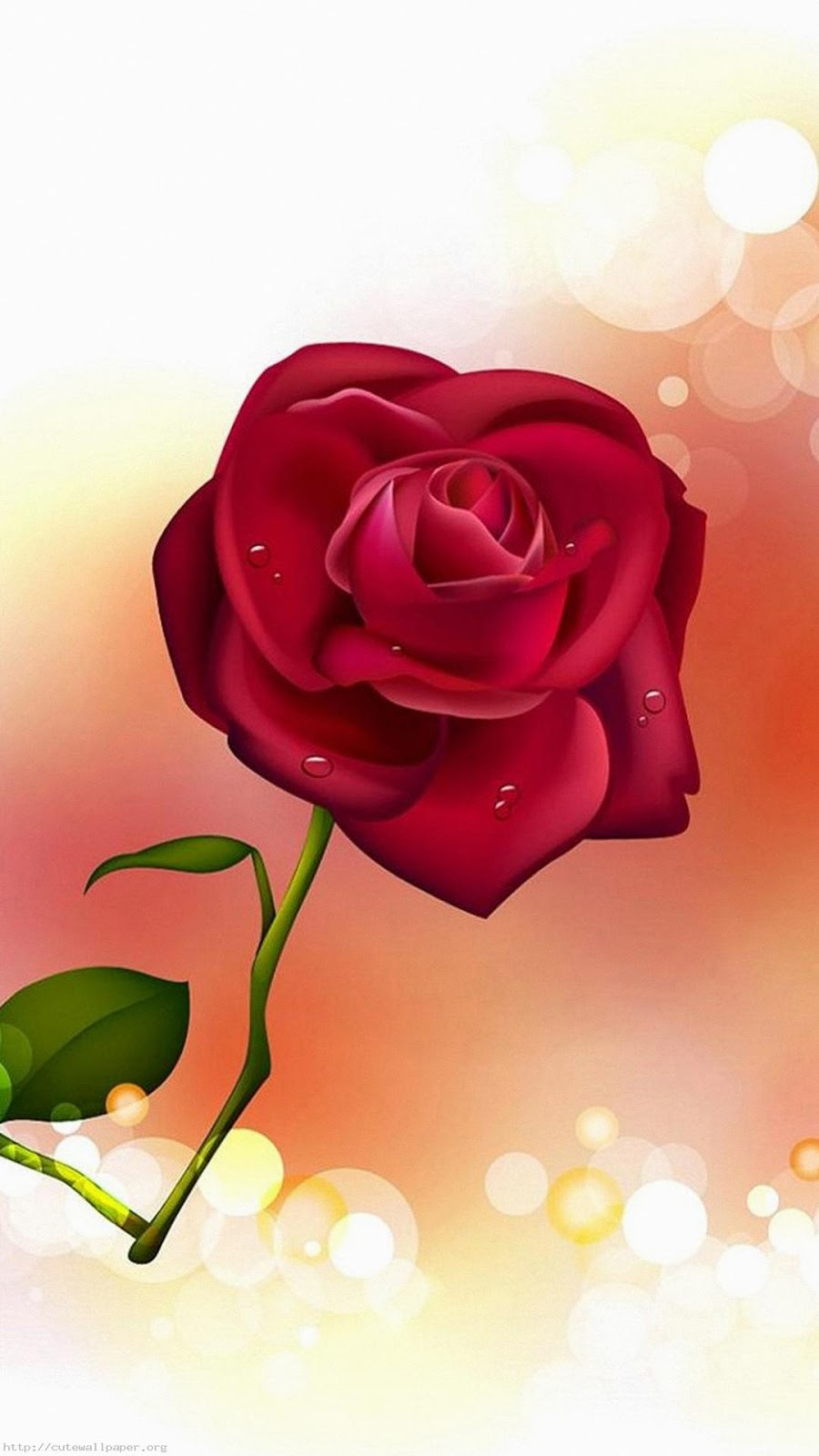 Roses HD wallpaper