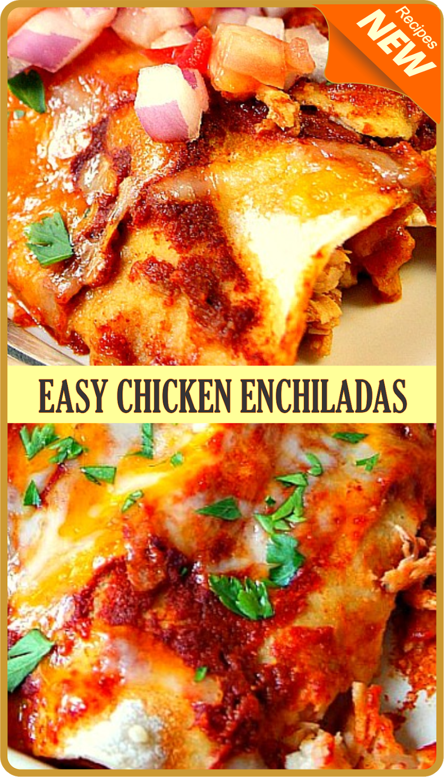 EASY CHICKEN ENCHILADAS RECIPE Amzing Food
