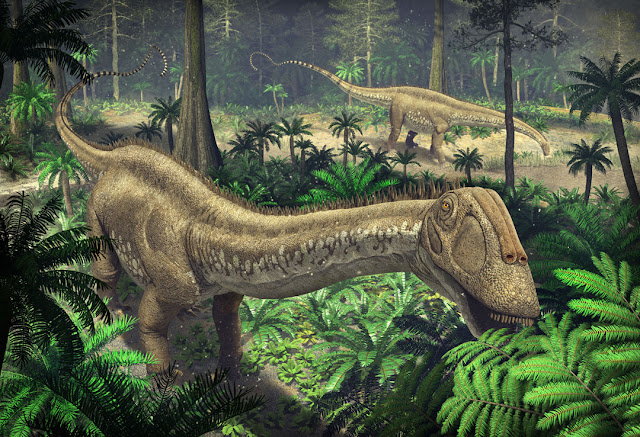 Apatosaurus ajax feeding in the forest glades
