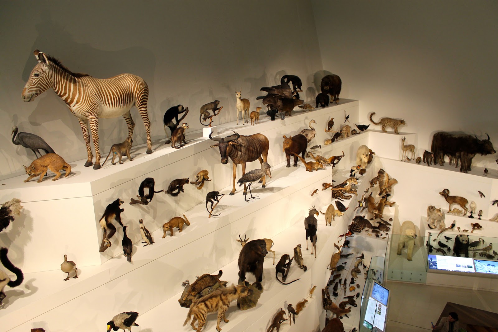 Lance's Down Under Melbourne Museum/Laneways/Federation Square