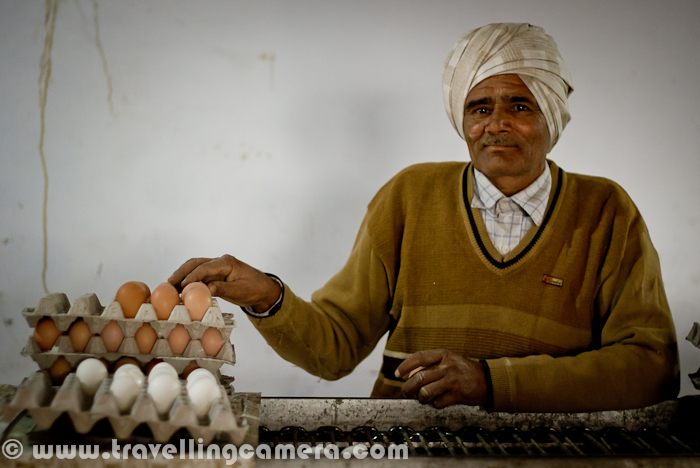 During Christmas vacations I visited Rajpura (a town in Punjab, India) with my friend, who was visiting one of his clients for some official purpose. We exactly went to a company called 'Punjab Eggs', which is one of the decent Egg producers of Punjab with main focus on nutrition. Here we are not going to share the technicalities involved, but a Photo Journey to a  Punjab Eggs Farm. Let's check it out.. It was Monday, when I was in Chadigarh and my friend called me to get ready for Rajpura, which is a relatively small town in Punjab. It took approximately 1 Hr to reach the place. We had to meet Mr. Mohit Raja, which is one of the partner in Punjab Eggs. Naresh(my friend) had official meeting with Mohit, who is also managing some other companies in Rajpura RegionPunjab Eggs is a brand of Raja Farms and one of the good quality product in North India, (as I got to know from this visit...) There are different types of eggs distributed by Peggs, depending upon the nutrition value. Different packing are used after automatic identification of different types of eggs.Cleanness and discipline is one of the main demand of such poltery farms. Cars are not allowed to come inside the campus. In worst case, if any vehicle need to come inside this huge farm, there is a track full of water, so that tyres and lower part of the vehicle is cleaned before it actually enters that campus. If someone comes inside, some solution is sprayed on shoes.Above photograph shows the preparations one need to do, before entering into the space where hens are kept under controlled temperature. A mask, cap & shoe cover etc.Here is the first view after entering into the poultry farm and this whole setup was constructed in consultation with an Europian company. Things like, space (width, height, length), Air conditioning systems, alignment of exhaust fan, unit for automatically collection eggs, cleanness of  each compartment, machines for providing feeds etc were designed in such a way that everything can be controlled through single unit on one of the corners of this poultry farmThere were different alleys with 4 storey units on both side. Each alley had hens of different types. There were two containers in front of each row - One for providing feed and other for collecting Eggs. Eggs were automatically collected at a central place, where each of them is weighted and packed accordinglyHere is a external view of Punjab Eggs unit of Raja Farms Co @ Rajpura, Punjab, IndiaMany folks prefer yellow-cover eggs and some sections of this poultry farm were having hens of a particular species. As an egg hits the region you see in this photograph, egg count of the unit goes up and can be checked exact count anytime in the software installed on conputer, which is connected to the main control unitIt was lunch time when we reached the poultry farm and all of them were busy in having their regular feed. Temperature inside was unbearable for us and whole environment was dusty due to feed distribution process, which is again handled automatically. But someone needs to refill the main containerHere exactly is feed distribution unit, which keep moving between the compartments and provide appropriate amount of feed at regular intervalsHens on right side and waiting for their turn and feed-machine of their side is still on other end of the hallExhaust fan installed on back-side of the poultry farm. each unit can be controlled separately and used  to make sure that their is proper air ventilation, along with appropriate temperature inside the poultry farMan standing in other room, where all eggs come through a rolling path. At the end of this moving path, there was a controller to weight each egg and move into appropriate sections. After this all eggs are collected and packed accordingly. There is a particular type of egg, which is marked for 'Peggs' logo...A photograph of warehouse, where some of the egg containers were lying around a corner.All special types of eggs are packed in this kind of packs with proper marking on theOthers are served in standard treys.To summarize this PHOTO JOURNEY - A Visit to fully automated Poultry Farm with Naresh and Mohit Raja. Punjab Eggs at Rajpura, Punjab, India takes care of hygiene and nutrition in their products. Overall it was a great experience to see this kind of setups in India.