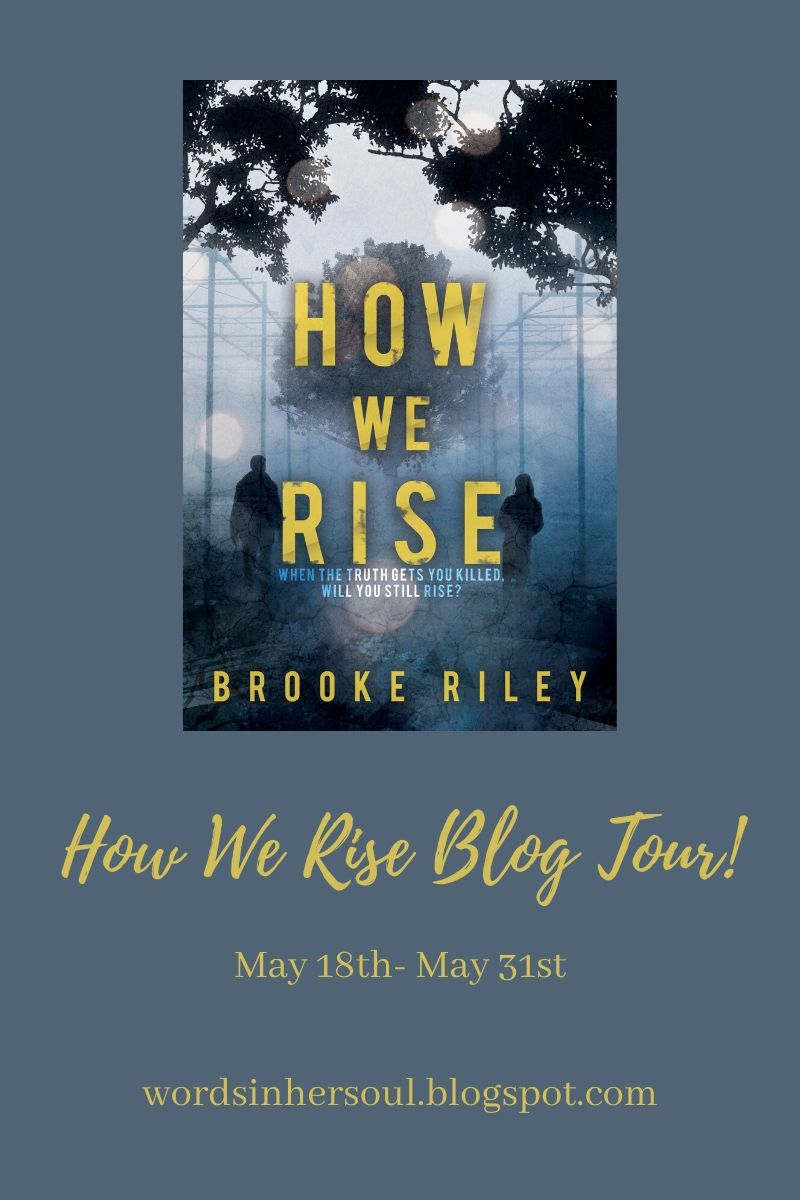 Interview with Brooke Riley // How We Rise Book Release Tour