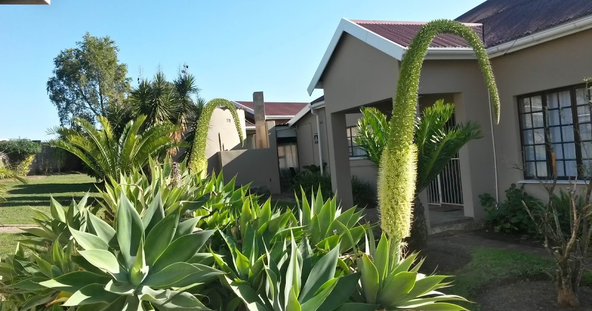 Find And Book The Best Guest House In King Williams Town