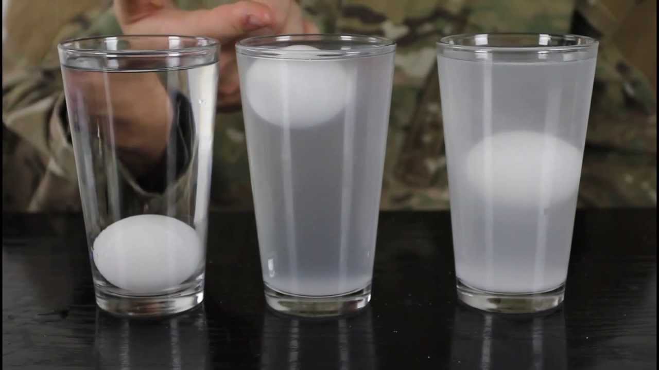 Reasons why bad eggs float in water