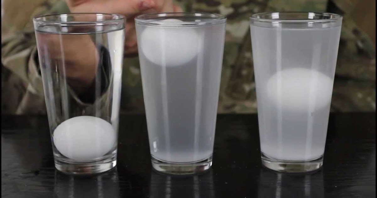 FoodFriend Reasons why bad eggs float in water