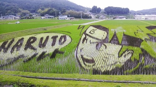 09-Tanbo-Art-Naruto-Japanese-Rice-Paddy-Farmers-www-designstack-co