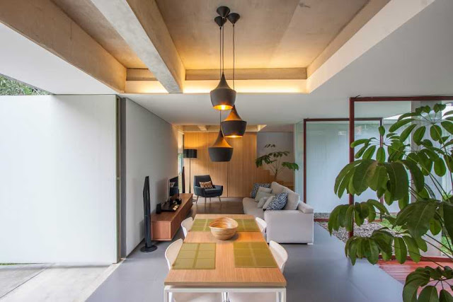Cara Kreatif Memperbagus Desain Interior Rumah Dengan Tanaman