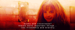 hermione granger harry potter fan taught characters