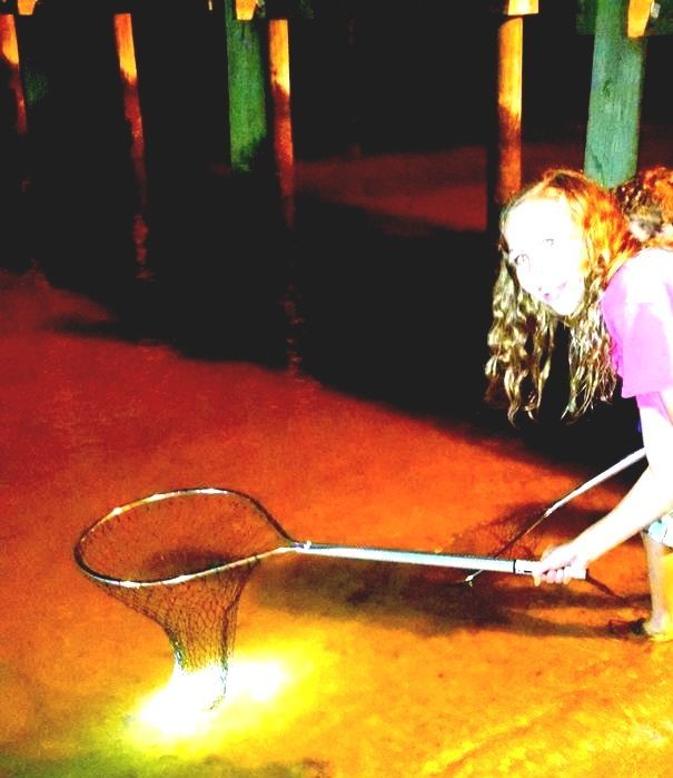 Mobile Bay Jubilee Mobile Water Mobile Al