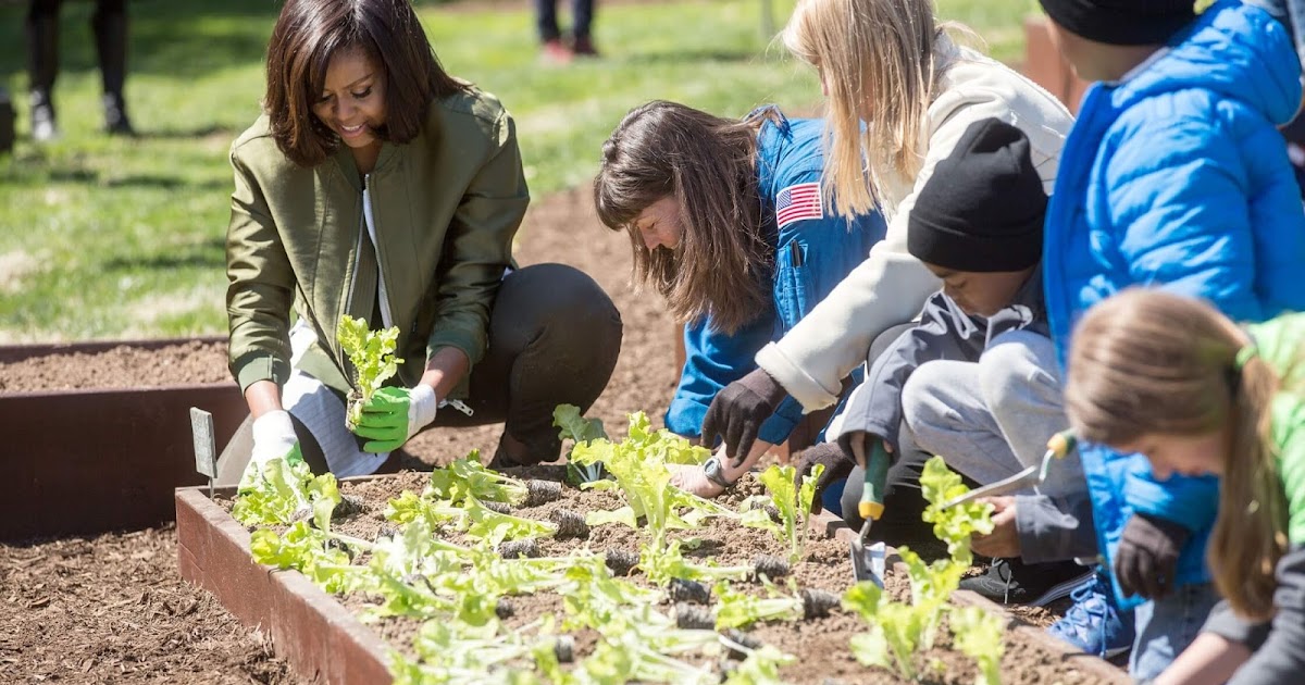 Waste management Benefits Of Composting At School