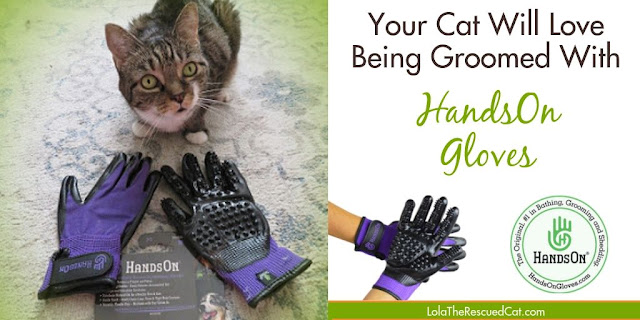 HandsOn Grooming Gloves