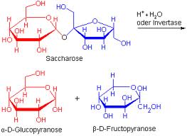 Diät zur Senkung von Cholesterintriglyceriden und Glukose