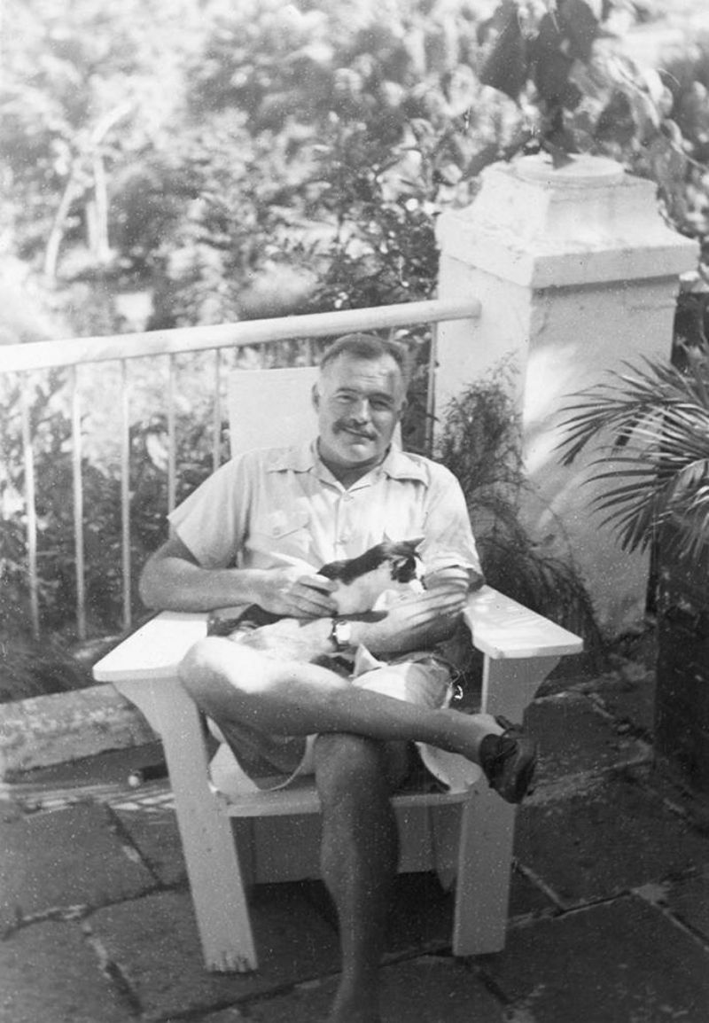 26 Interesting Vintage Photos of Ernest Hemingway With His Beloved Cats