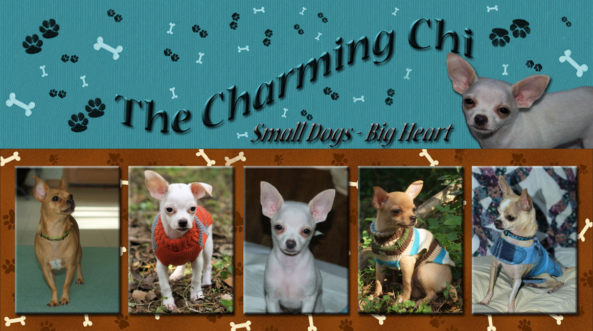 The Charming chi