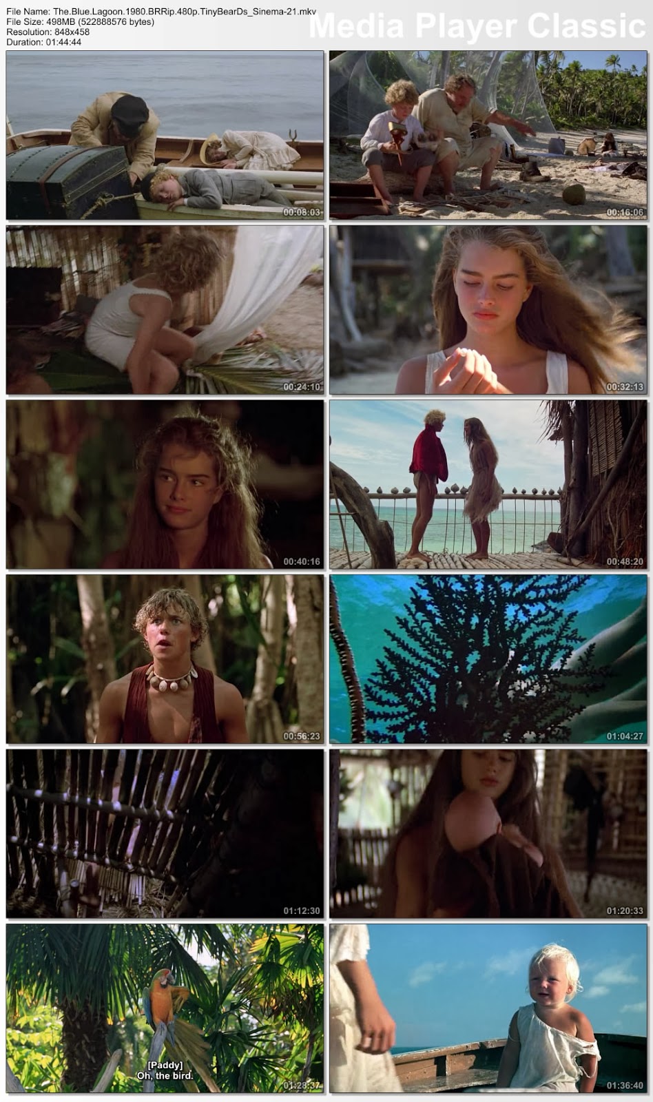 download the blue lagoon 1980 full movie