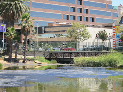 La Brea Tar Pits, Los Angeles La Brea Tar Pits, Los Angeles
