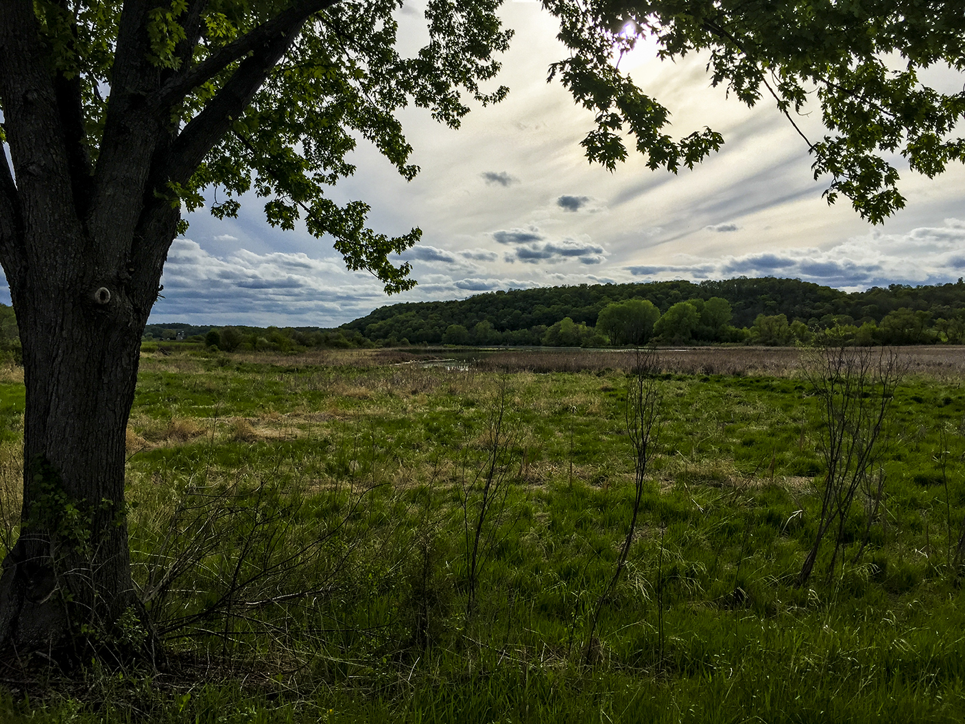 The Ice Age Trail at Indian Lake County Park in Dane WI