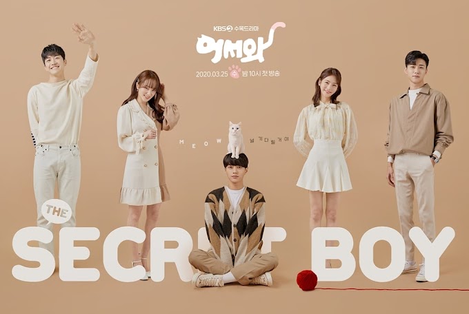 Meow, The Secret Boy Kdrama Review