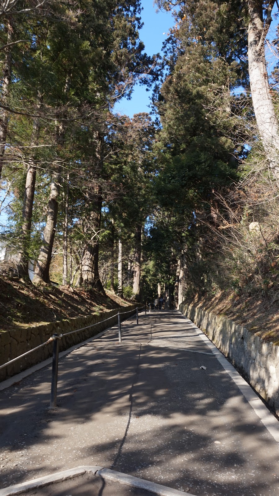 17 冬 東北世界遺產の町平泉 下 中尊寺 金色堂 筆直吐牙budtourhk Budgettour 低筆直廉價背包旅記
