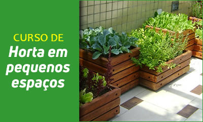 Cultivo em pequenos espaços e em vaso