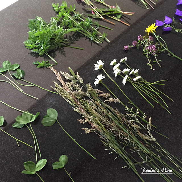 Gtf Freese Startseite Facebook