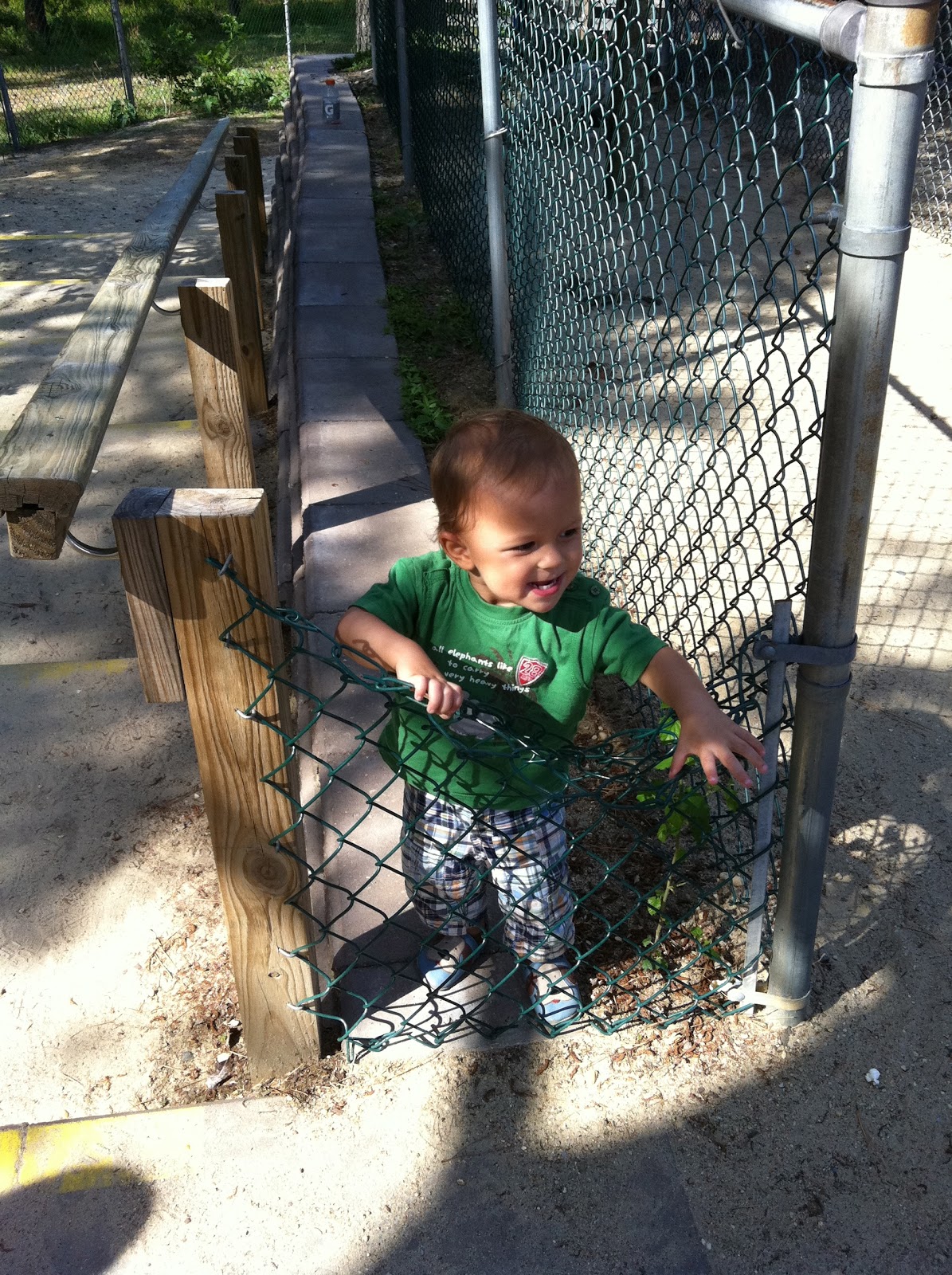 A Harmonious Combination Popcorn Park Zoo