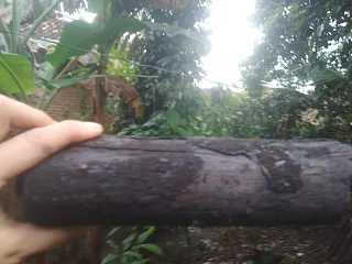 Fungsi arang kayu
