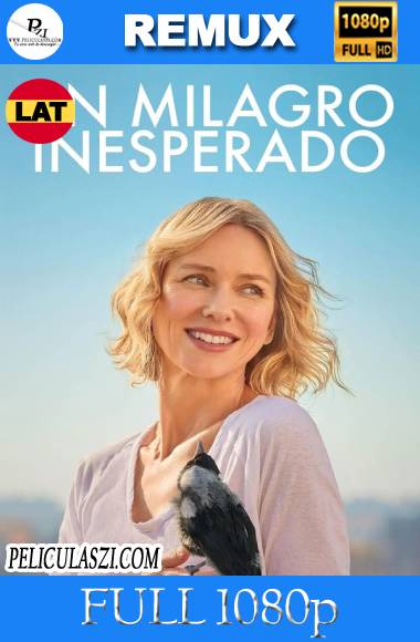 Un Milagro Inesperado (2021) Full HD REMUX 1080p Dual-Latino VIP