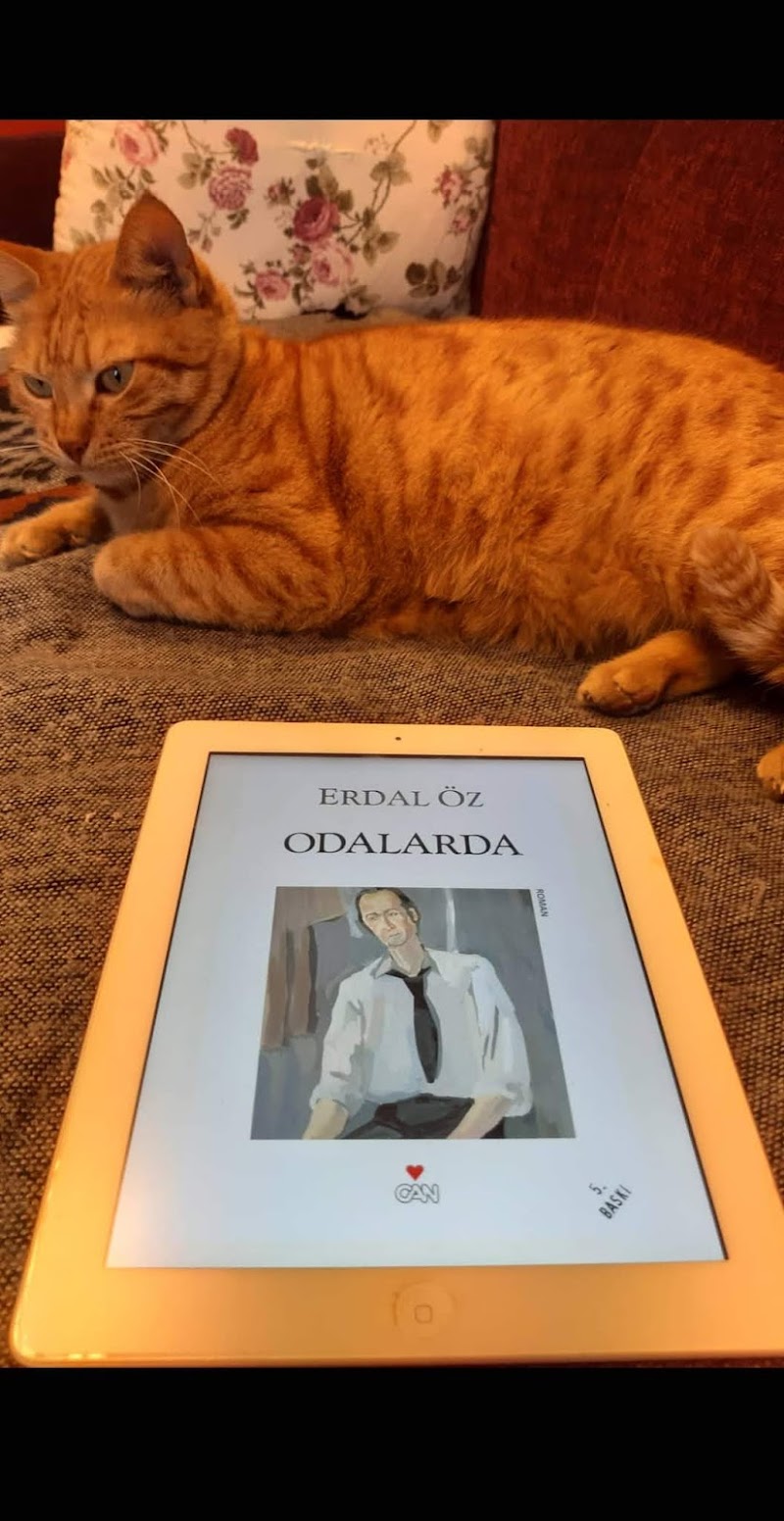 Odalarda - Erdal Öz - Kitap Yorumu