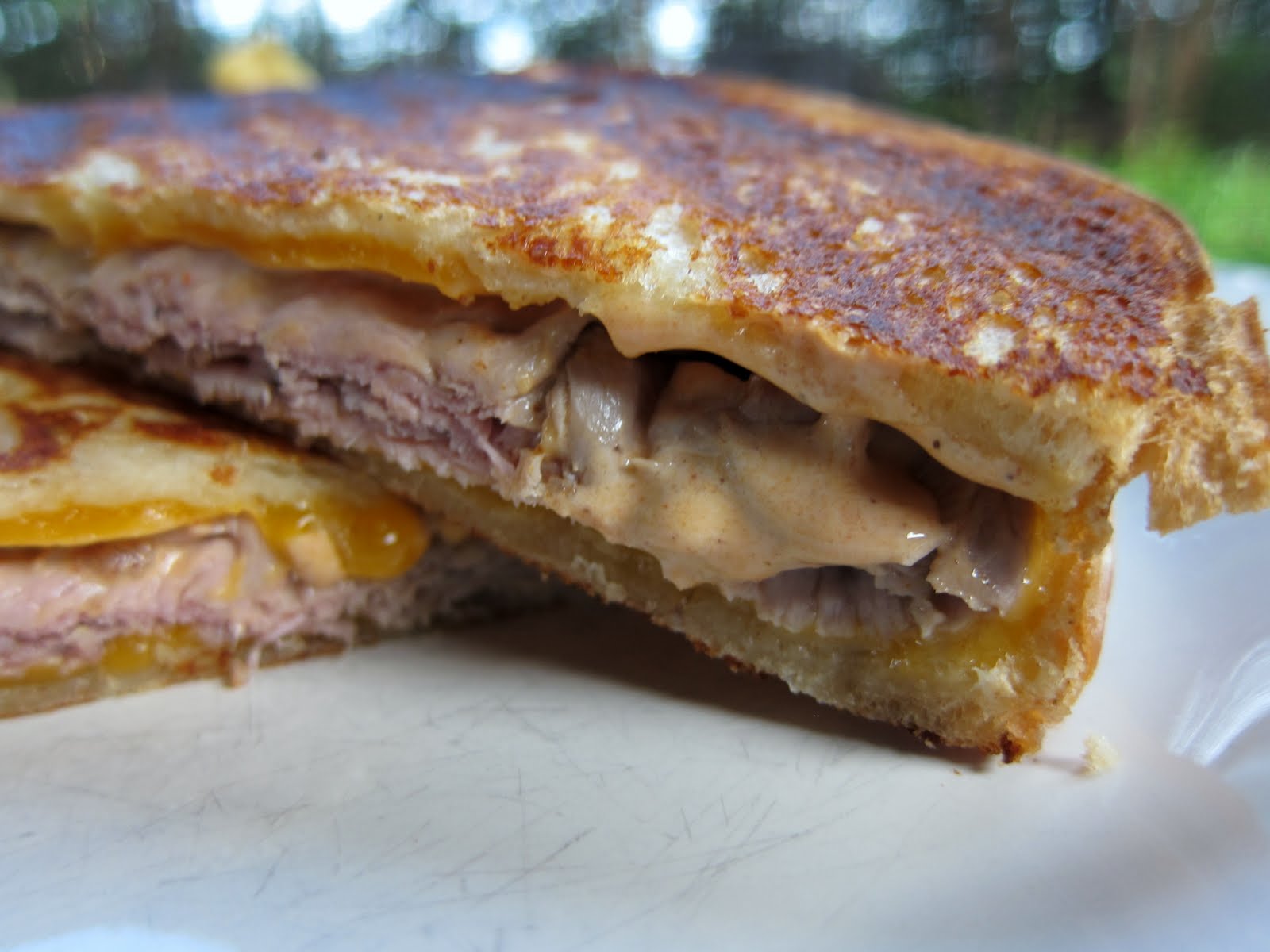 Beef & Cheddar Chipotle Panini Plain Chicken®