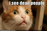 dead_people_Cat.jpg