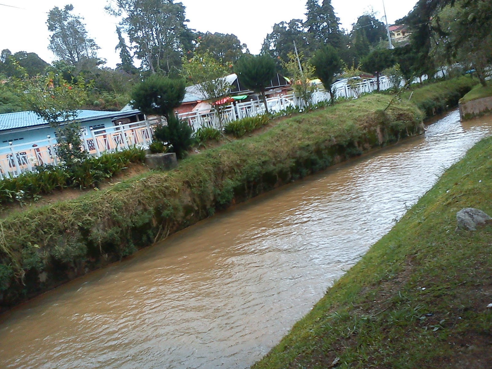 Taman Bunga Depan Rumah Yg Indah