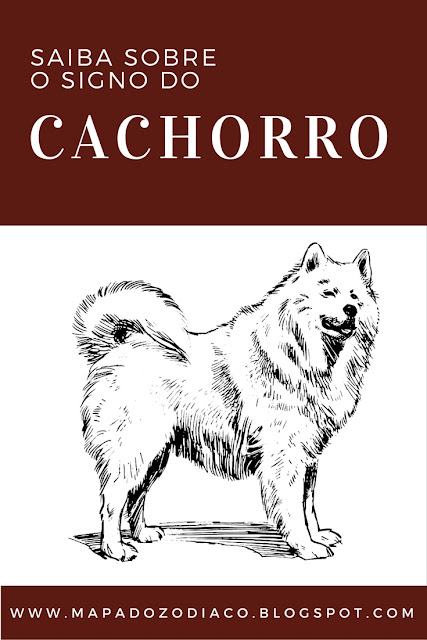 a personalidade do signo chines do cachorro