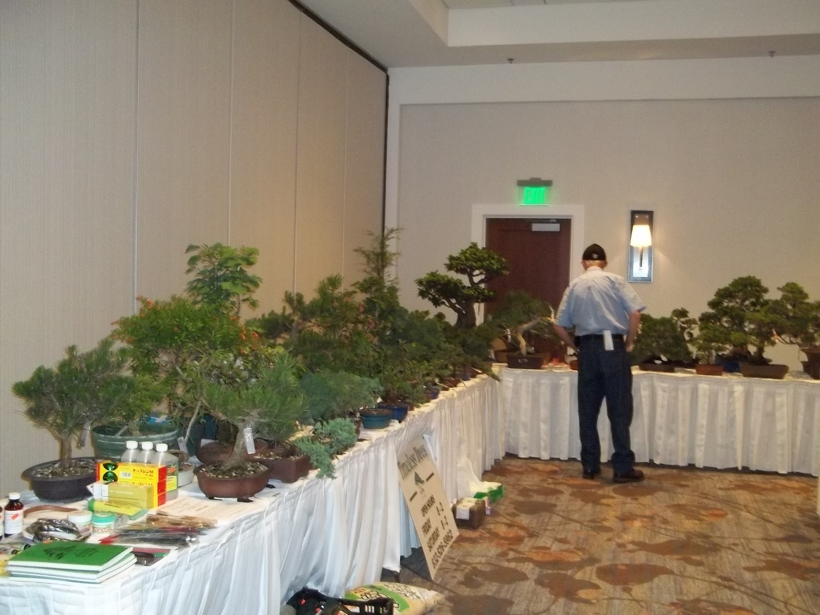 Bent Tree Bonsai Dallas State Bonsai Convention 2012